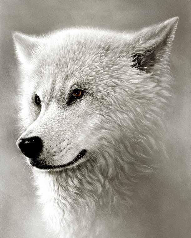 White Wolf